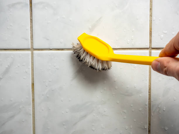 Best Localized Mold Remediation (e.g., coastal areas, humid climates) in Latta, OK