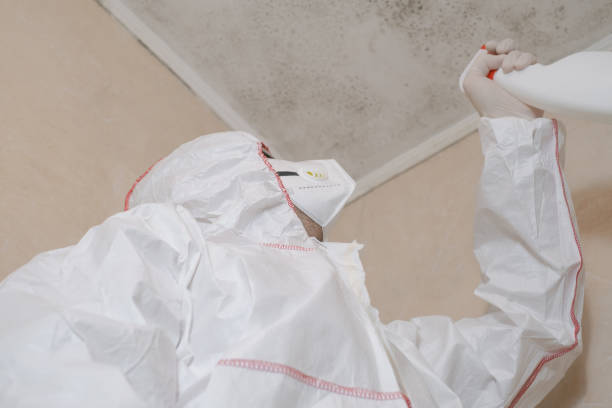 Best Post-Flood Mold Remediation in Latta, OK