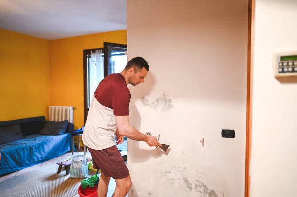 Best Attic Mold Remediation in Latta, OK